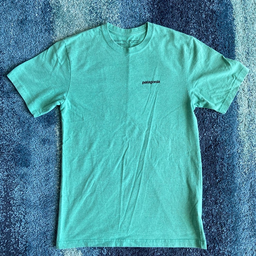 Patagonia Mint T-shirt